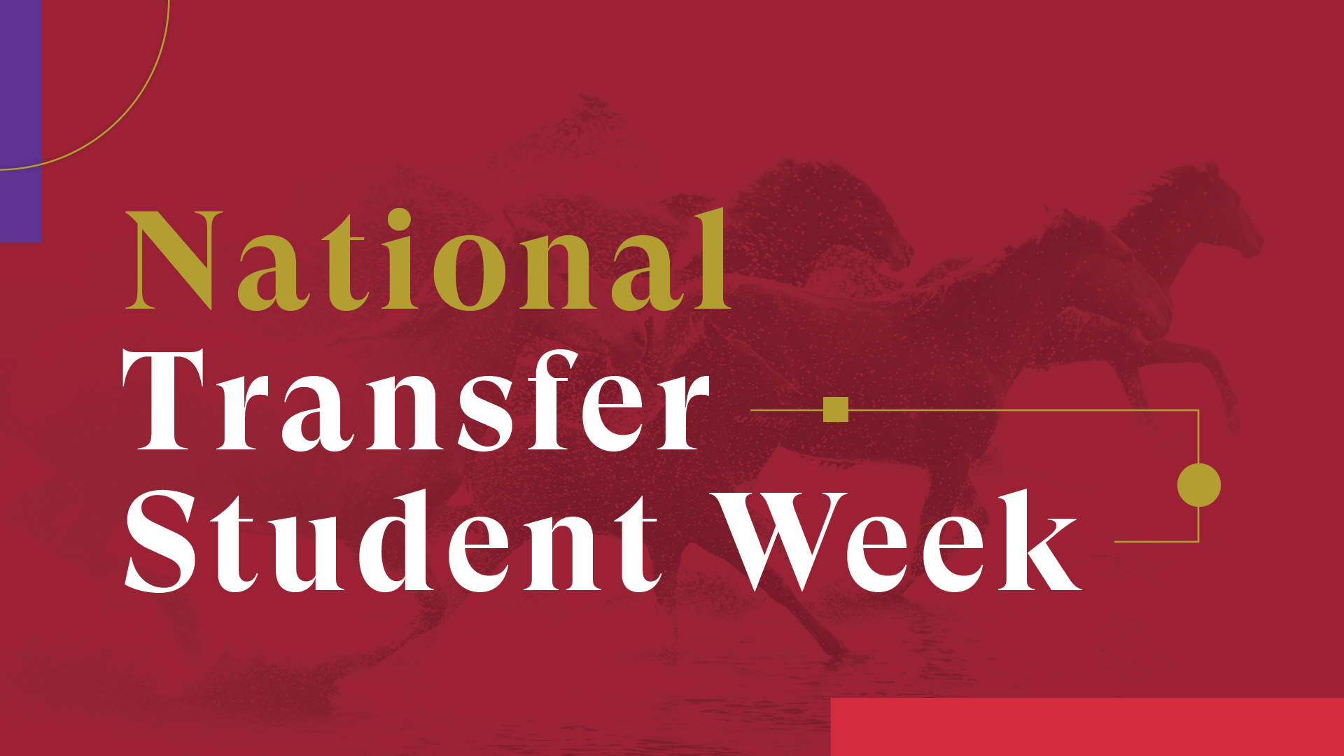 National Transfer Student Week Rider University